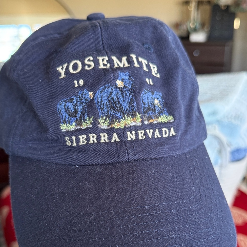 VINTAGE 1991 Yosemite Sierra Nevada Navy Cap